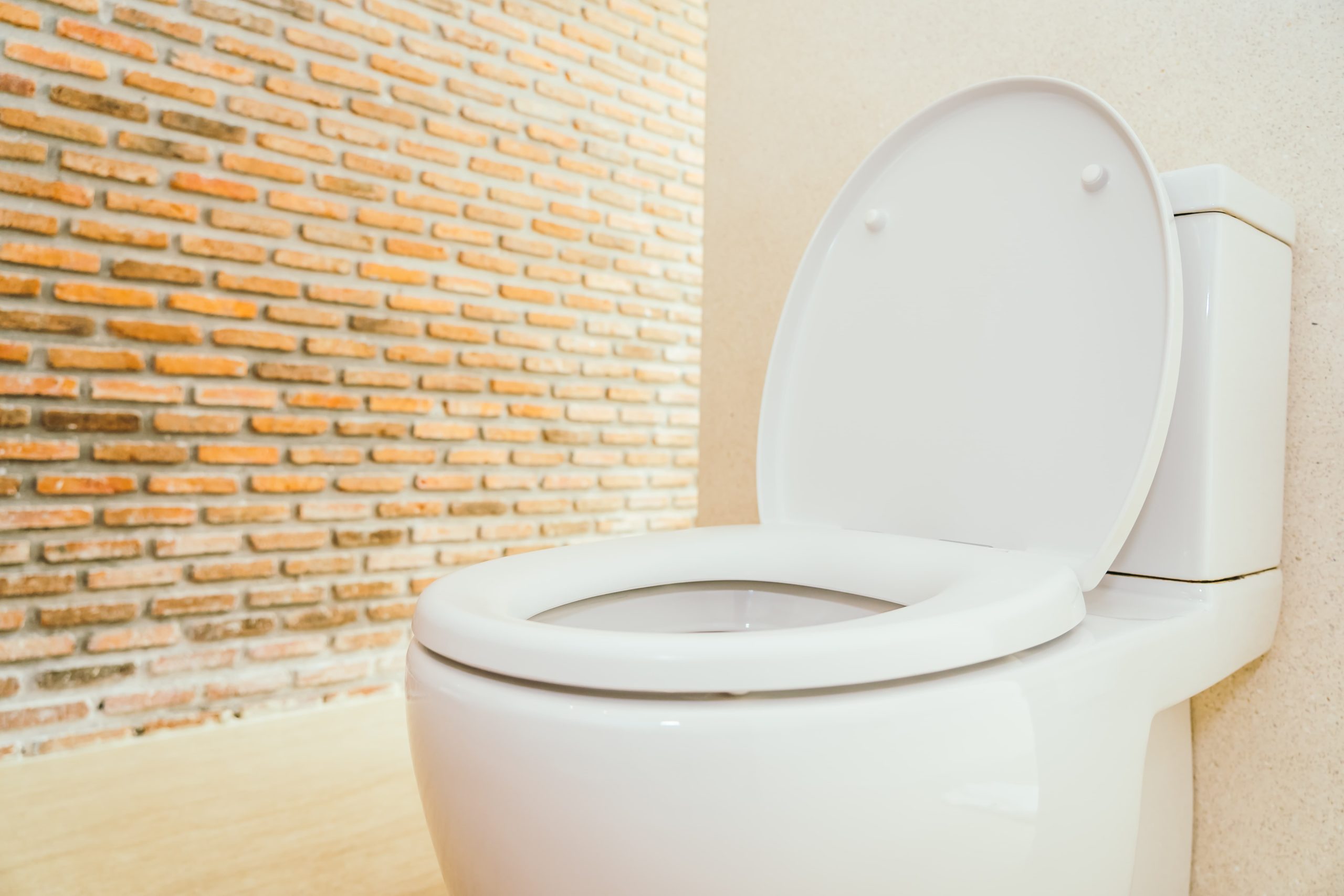 Vaso sanitário: Privada branca, paredes ao redor bege, e uma parede de tijolo branco