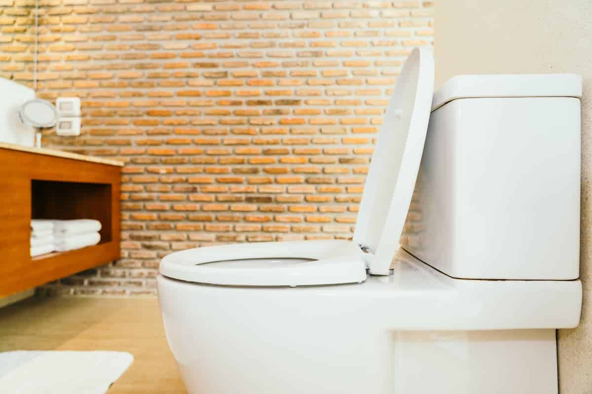 vaso sanitário branco de porcelada em banheiro com parede de tijolos